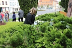 Der Opfer des Faschismus gedacht (Foto: Karl-Heinz Herrmann)