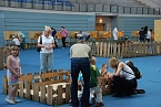 Welt der Reptilien in der Wiedingsburghalle (Foto: nnz-City Scout: Sven Gämkow) Welt der Reptilien in der Wiedingsburghalle (Foto: nnz-City Scout: Sven Gämkow)