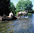 Abenteuer Rußland (Foto: Privat) Abenteuer Rußland (Foto: Privat)