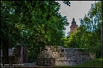 Auf dem Kyffh&auml;user unterwegs (Foto: Numis Motivkiste)