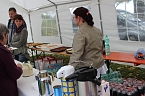 Interkulturelles Sport- und Spielfest (Foto: Karl-Heinz Herrmann)