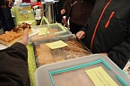 Wettergl&uuml;ck beim Baumfest (Foto: Karl-Heinz Herrmann)