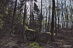 Die Felsen Tour im S&uuml;dharz (Foto: Christian Schelauske)