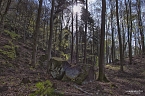 Die Felsen Tour im S&uuml;dharz (Foto: Christian Schelauske)