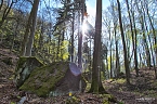 Die Felsen Tour im S&uuml;dharz (Foto: Christian Schelauske)