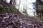 Die Felsen Tour im S&uuml;dharz (Foto: Christian Schelauske)