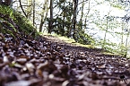 Die Felsen Tour im S&uuml;dharz (Foto: Christian Schelauske)