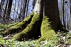 Die Felsen Tour im S&uuml;dharz (Foto: Christian Schelauske)