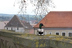 Pflanzenmarkt gut besucht (Foto: Karl-Heinz Herrmann)