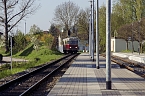 Unterwegs im Naturpark S&uuml;dharz (Foto: Christian Schelauske)