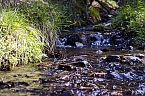 Unterwegs im Naturpark S&uuml;dharz (Foto: Christian Schelauske)