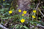 Unterwegs im Naturpark S&uuml;dharz (Foto: Christian Schelauske)