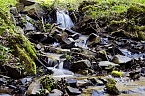 Unterwegs im Naturpark S&uuml;dharz (Foto: Christian Schelauske)