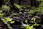 Unterwegs im Naturpark S&uuml;dharz (Foto: Christian Schelauske)