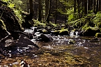 Unterwegs im Naturpark S&uuml;dharz (Foto: Christian Schelauske)