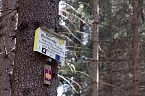 Unterwegs im Naturpark S&uuml;dharz (Foto: Christian Schelauske)
