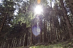 Unterwegs im Naturpark S&uuml;dharz (Foto: Christian Schelauske)