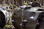 Unterwegs im Naturpark S&uuml;dharz (Foto: Christian Schelauske)