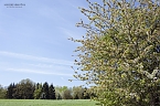 Unterwegs im Naturpark S&uuml;dharz (Foto: Christian Schelauske)