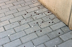 Wodkaflasche auf den Kopf (Foto: Karl-Heinz Herrmann)