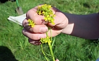 Studien zur Erhaltung der Natur (Foto: Karl-Heinz Herrmann)