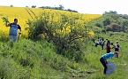 Studien zur Erhaltung der Natur (Foto: Karl-Heinz Herrmann)