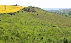 Studien zur Erhaltung der Natur (Foto: Karl-Heinz Herrmann)