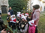 Weihnachtsstimmung an der Oberkirche (Foto: F&ouml;rderverein Oberkirche)