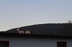 Massenansturm zum Weihnachtstauchen (Foto: Karl-Heinz Herrmann)