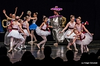 Die Sch&ouml;ne und das Biest ein Ballettm&auml;rchen. (Foto: Holger Schurack)