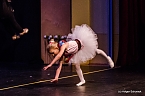 Die Sch&ouml;ne und das Biest ein Ballettm&auml;rchen. (Foto: Holger Schurack)