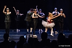 Die Sch&ouml;ne und das Biest ein Ballettm&auml;rchen. (Foto: Holger Schurack)
