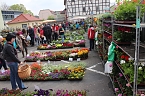 Gr&uuml;ne und bunte Oase Sondershausen (Foto: Karl-Heinz Herrmann)