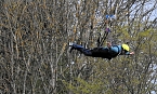 Harzdrenalin auf 458 Metern (Foto: Peter Blei)