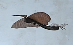 Sondersh&auml;user Verband (Foto: Sondersh&auml;user Verband)