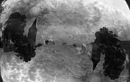 Spiegelbild in Seifenblase (Foto: Peter Blei)