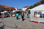 Fliederz&uuml;chtung nach Bad Frankenhausen benannt (Foto: Karl-Heinz Herrmann)