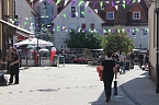 Fliederz&uuml;chtung nach Bad Frankenhausen benannt (Foto: Karl-Heinz Herrmann)