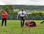 ABC Hundeschule (Foto: ABC Hundeschule)