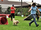 ABC Hundeschule (Foto: ABC Hundeschule)