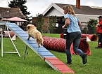 ABC Hundeschule (Foto: ABC Hundeschule)