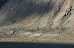 Impressionen vom Indischen Himalaya (Foto: T. Graner)