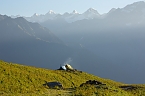 Impressionen vom Indischen Himalaya (Foto: T. Graner)