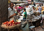 Impressionen vom Indischen Himalaya (Foto: T. Graner)