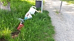 Sondershausen macht sich schick (Foto: Privat)