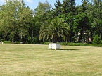 Lustwandeln im Park von Oranienbaum (Foto: Peter Blei)