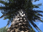 Lustwandeln im Park von Oranienbaum (Foto: Peter Blei)