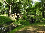Lustwandeln im Park von Oranienbaum (Foto: Peter Blei)