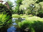 Lustwandeln im Park von Oranienbaum (Foto: Peter Blei)