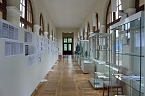 &Uuml;berraschender Fund im Schlossmuseum Sondershausen (Foto: Karl-Heinz Herrmann)